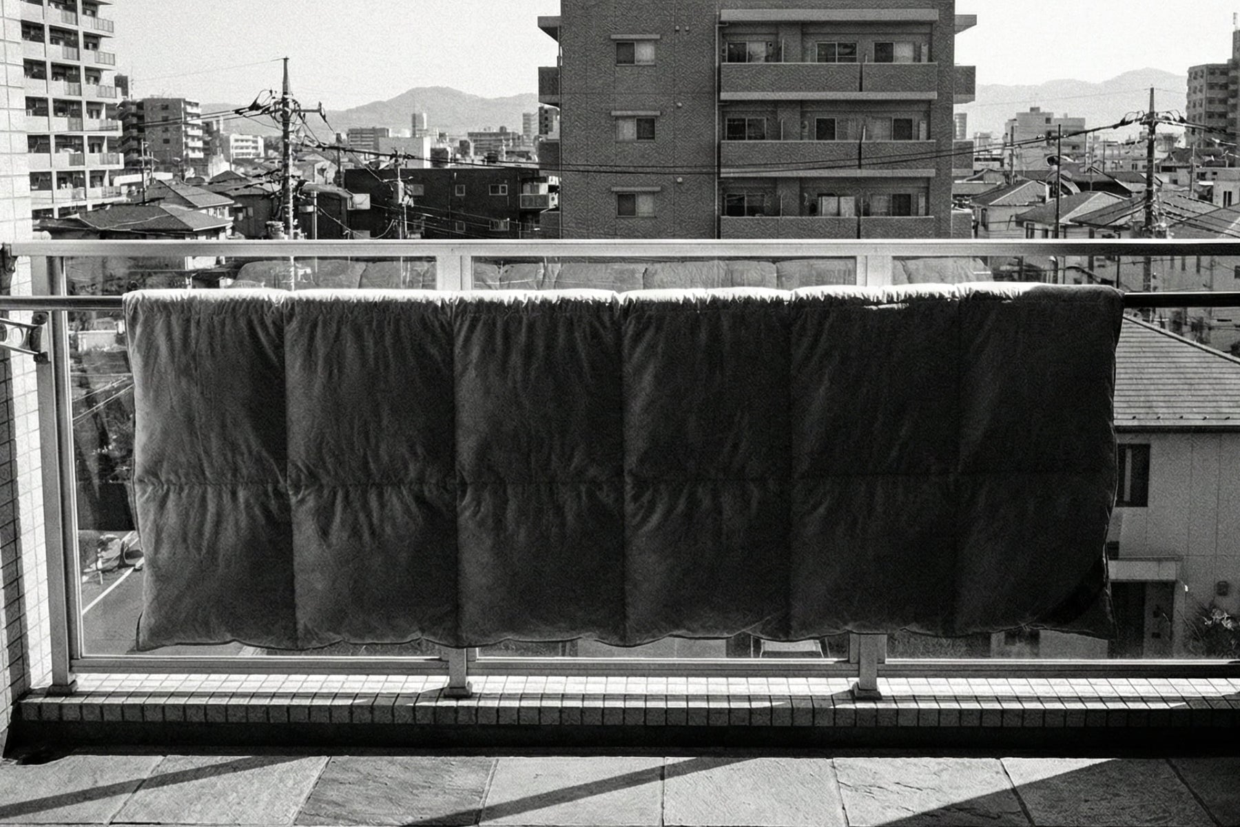 天日干しでは、
ダニは影に逃げるだけ。